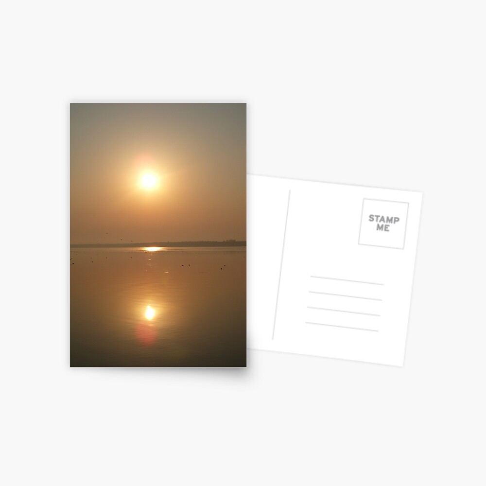 Item preview, Postcard designed and sold by Anthropolog.