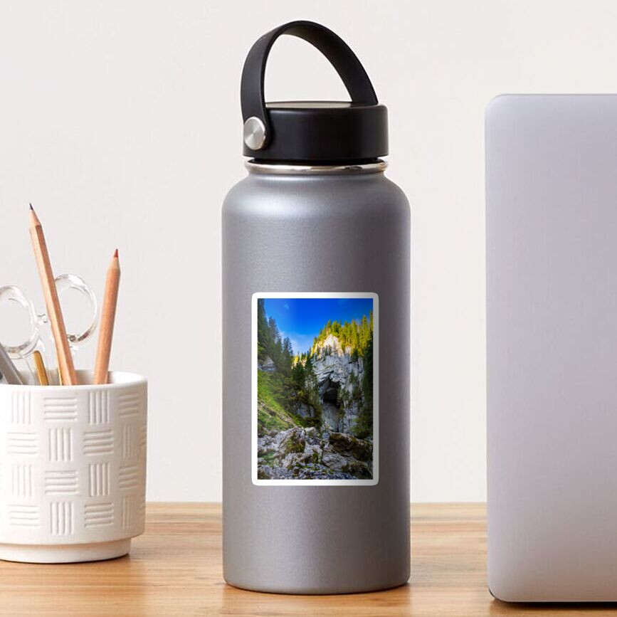 Cetatile cave sculpted by river in romanian mountains Sticker