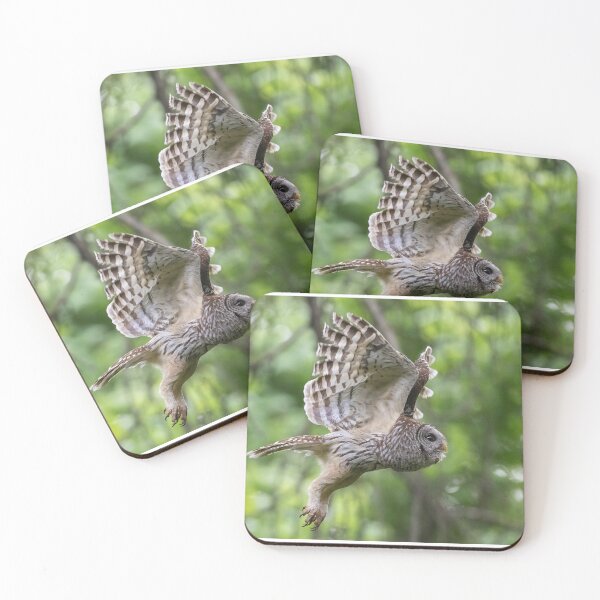 Item preview, Mama Barred owl Hunting designed and sold by Puttaswamy Ravishankar.