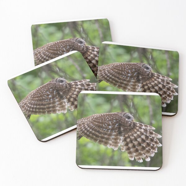 Item preview, Mama Barred Owl in Action designed and sold by Puttaswamy Ravishankar.