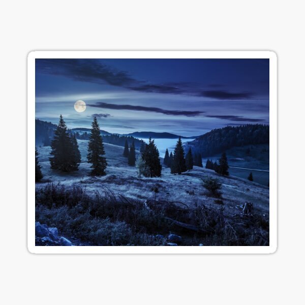 coniferous forest on a hillside in foggy mountains at night Sticker