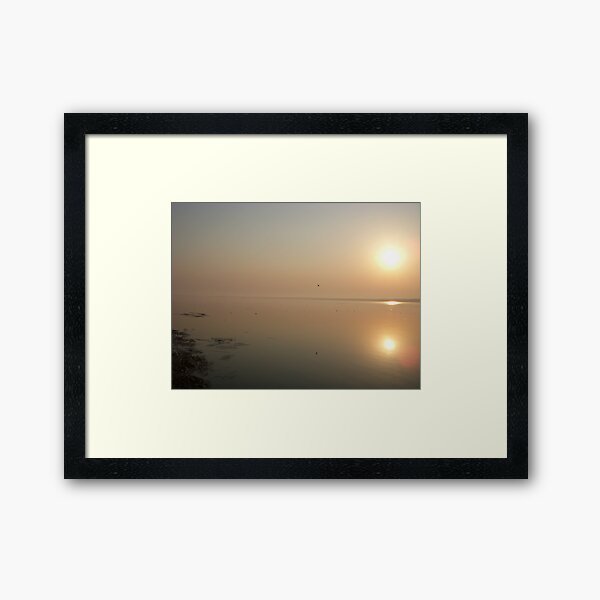 Framed Art Print