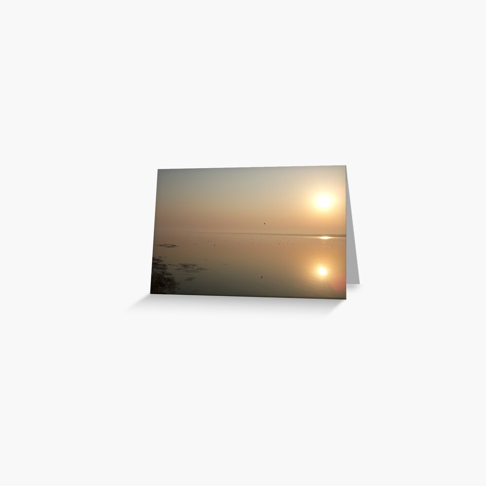Item preview, Greeting Card designed and sold by Anthropolog.