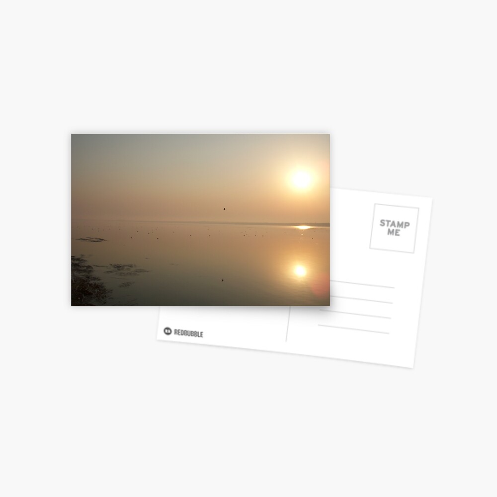 Item preview, Postcard designed and sold by Anthropolog.