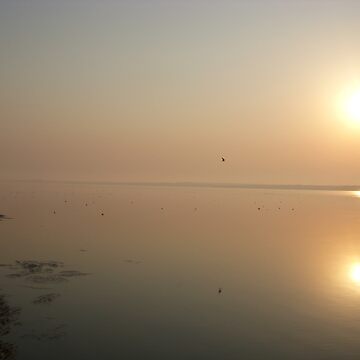 Artwork thumbnail, The Sun Versus The Sea by Anthropolog