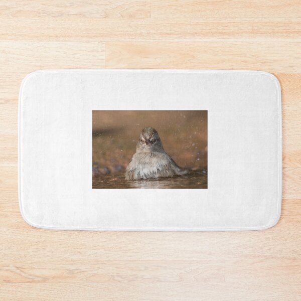 Item preview, Canyons towhee taking a Bath designed and sold by Puttaswamy Ravishankar.