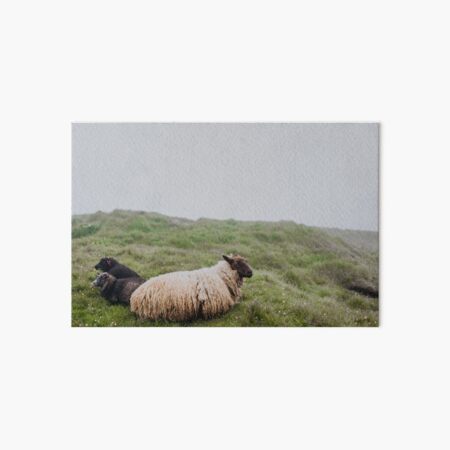 Sheep and Wild Goats in Iceland Art Board Print