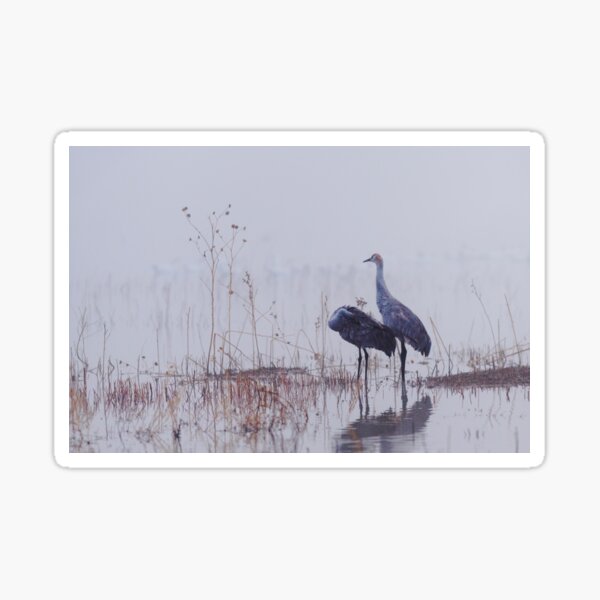 Item preview, Sandhill crane designed and sold by Puttaswamy Ravishankar.