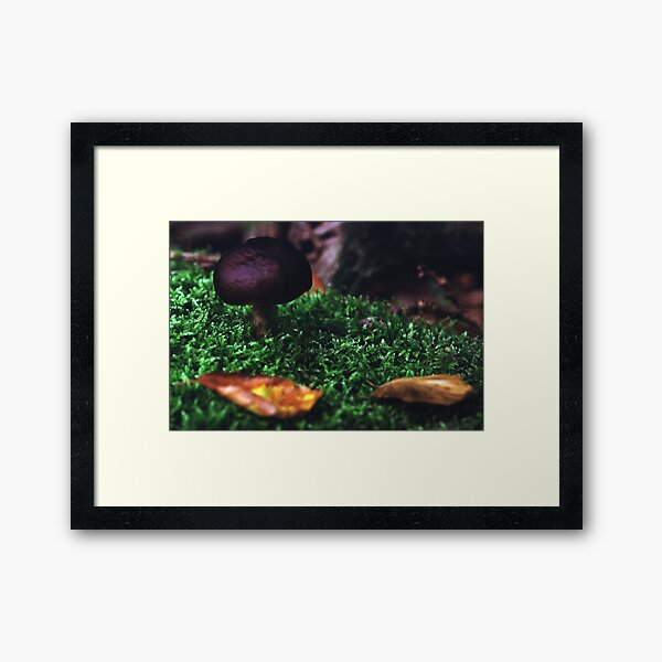 Autumn forest fungus Framed Art Print