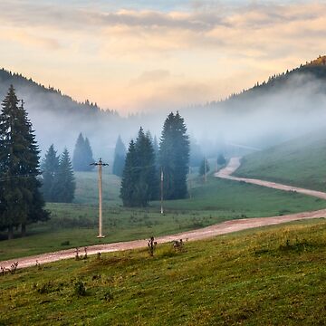 Artwork thumbnail, road near fir forest in foggy mountains at sunrise by mike-pellinni