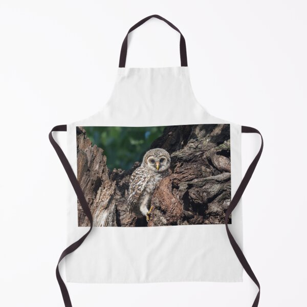 Item preview, Minutes After Fledging designed and sold by Puttaswamy Ravishankar.