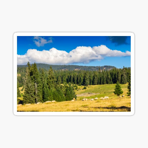 flock of sheep on the meadow near forest in mountains Sticker