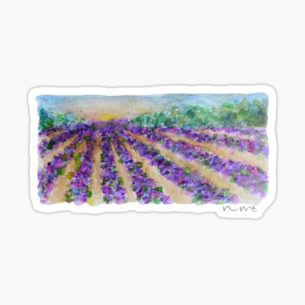 Lavender Field at Dusk Sticker