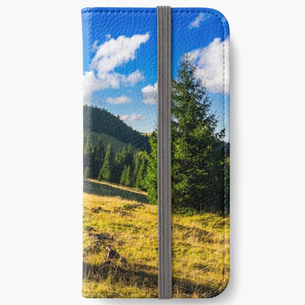 conifer forest in mountains at sunrise iPhone Wallet