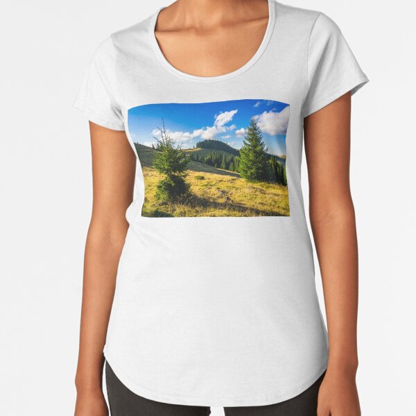 conifer forest in mountains at sunrise Premium Scoop T-Shirt