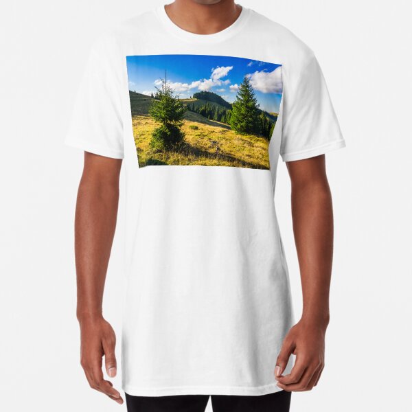 conifer forest in mountains at sunrise Long T-Shirt