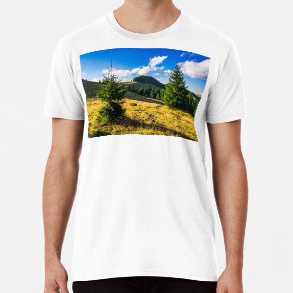 conifer forest in mountains at sunrise Premium T-Shirt