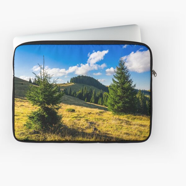 conifer forest in mountains at sunrise Laptop Sleeve