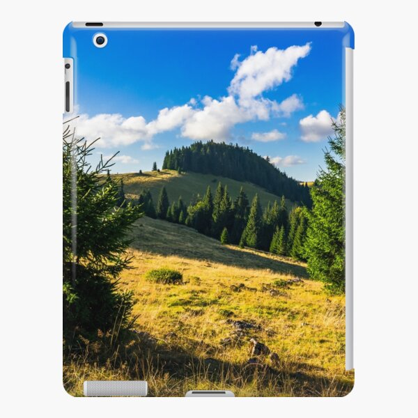 conifer forest in mountains at sunrise iPad Snap Case
