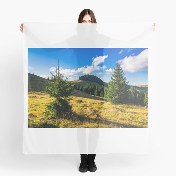 conifer forest in mountains at sunrise Scarf