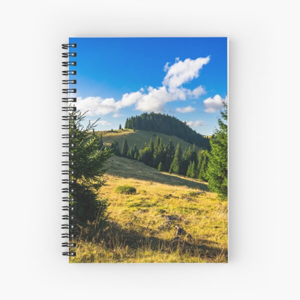 conifer forest in mountains at sunrise Spiral Notebook