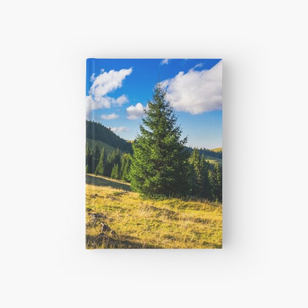 conifer forest in mountains at sunrise Hardcover Journal