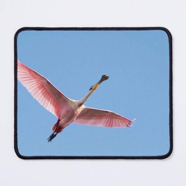 Item preview, Roseate spoonbill in Blue Sky designed and sold by Puttaswamy Ravishankar.