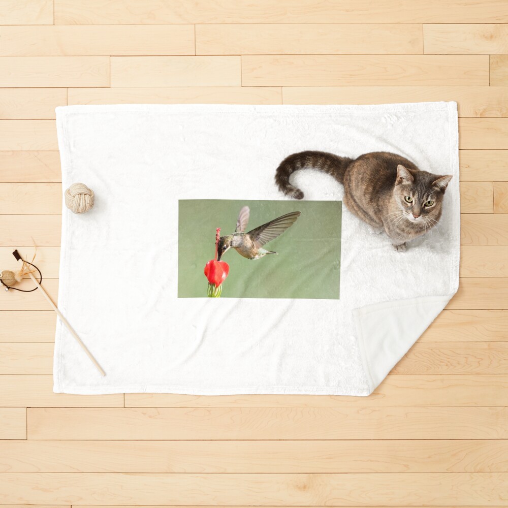 Item preview, Pet Blanket designed and sold by rshankar8080.