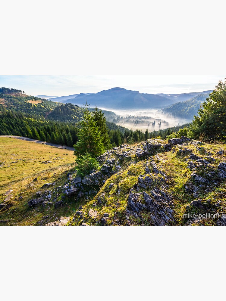 valley with conifer forest full of fog in mountain by mike-pellinni