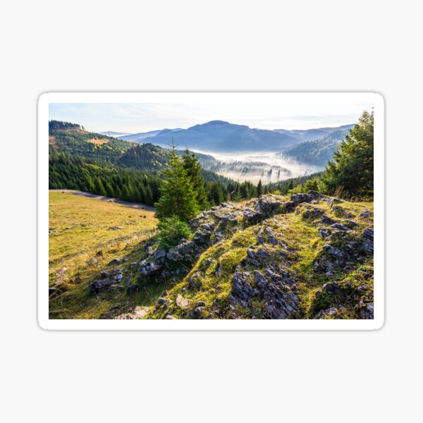 valley with conifer forest full of fog in mountain Sticker