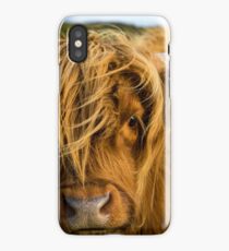 Highland cow on the island of skye iPhone Case