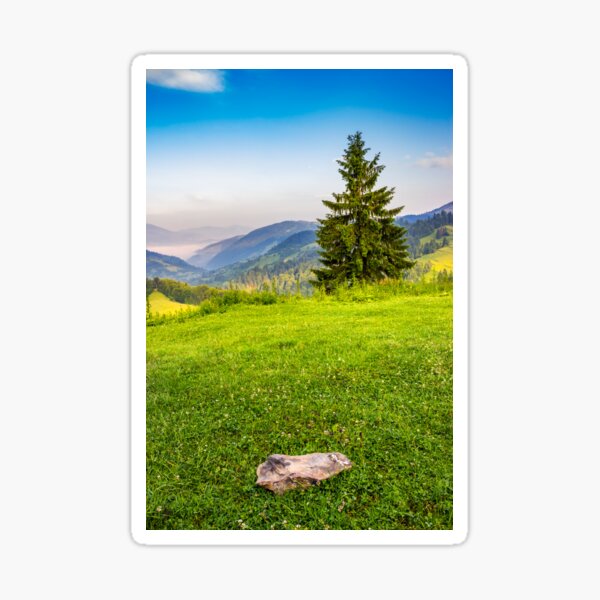 lonely fir tree on the edge of slope in foggy mountains at sunrise Sticker