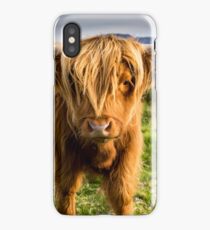 Highland cow on the island of skye iPhone Case