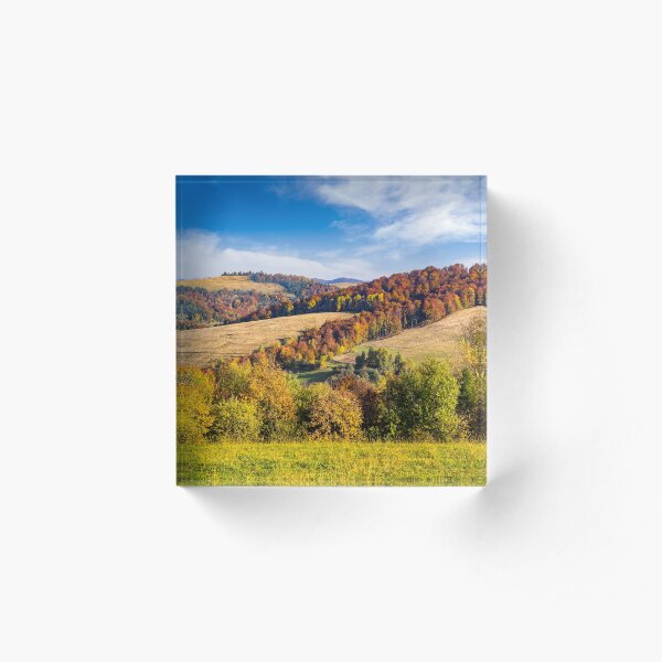 trees on autumn meadow in mountains Acrylic Block