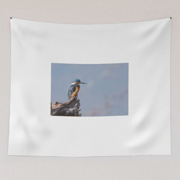Item preview, Common kingfisher - Basking in the Sun! designed and sold by Puttaswamy Ravishankar.