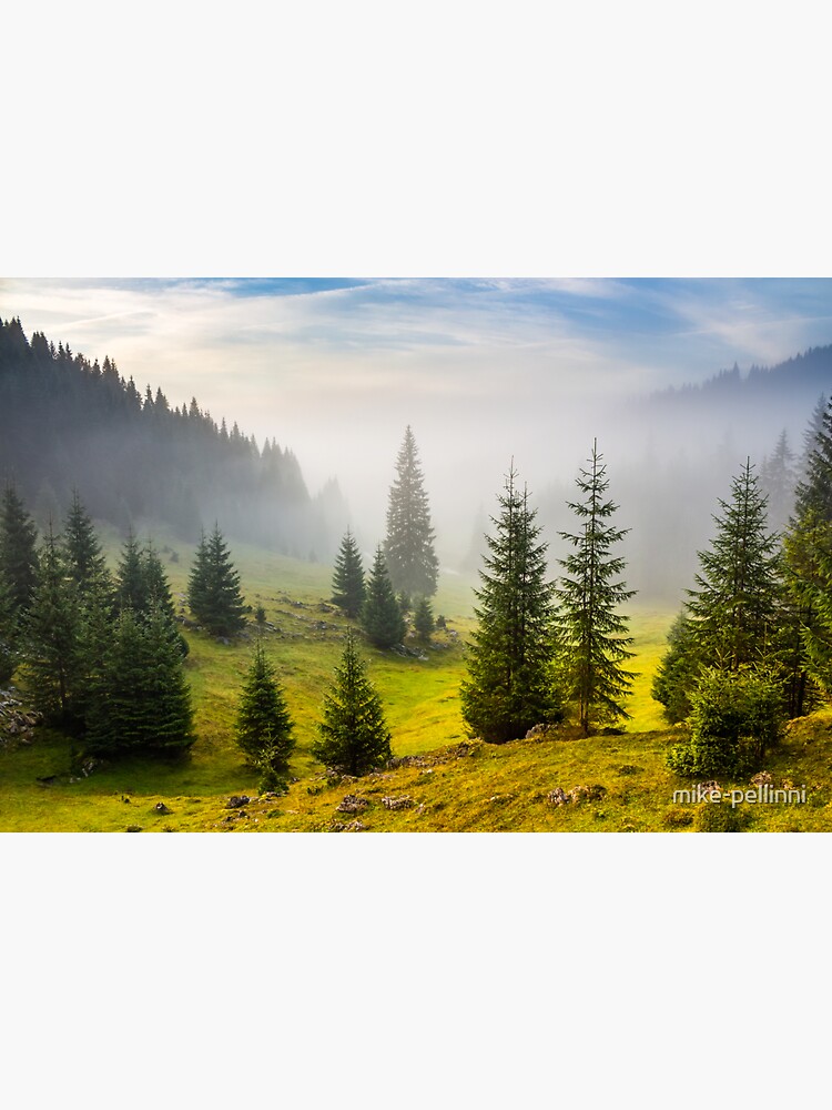 Thumbnail 3 of 3, Sticker, fir trees on meadow between hillsides in fog before sunrise designed and sold by mike-pellinni.