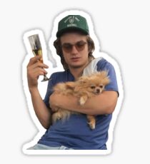 Joe Keery Sticker