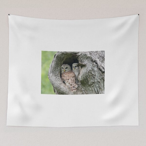 Item preview, Secure and Cozy designed and sold by Puttaswamy Ravishankar.