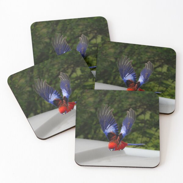 Item preview, Inflight Beauty designed and sold by AndyFayeImagery.