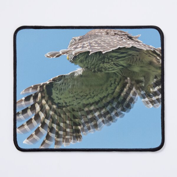 Item preview, Formidable talons designed and sold by Puttaswamy Ravishankar.