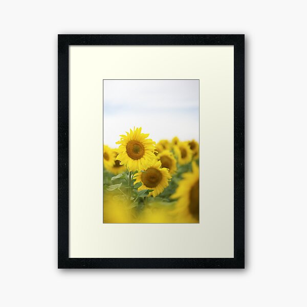 Item preview, tournesol elbkatz` designed and sold by Kathleen Follert.
