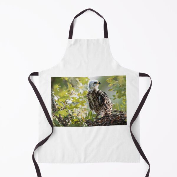 Item preview, Getting Ready to Fledge designed and sold by Puttaswamy Ravishankar.