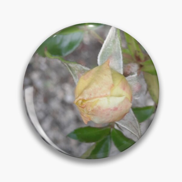 Item preview, autumn rose... designed and sold by barbich.