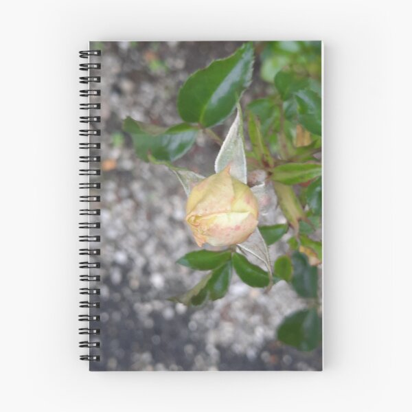 Item preview, autumn rose... designed and sold by barbich.
