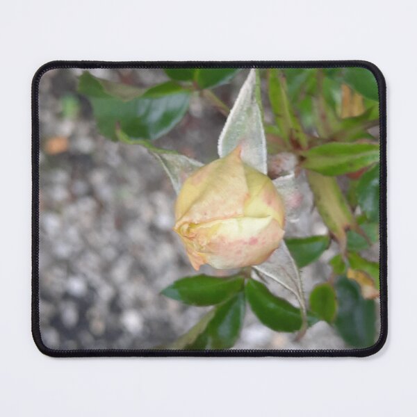 Item preview, autumn rose... designed and sold by barbich.