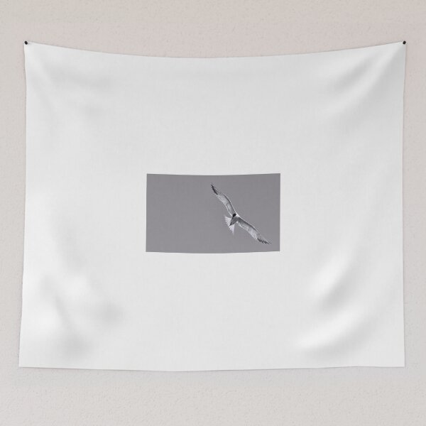 Item preview, Basking in the Sun designed and sold by Puttaswamy Ravishankar.