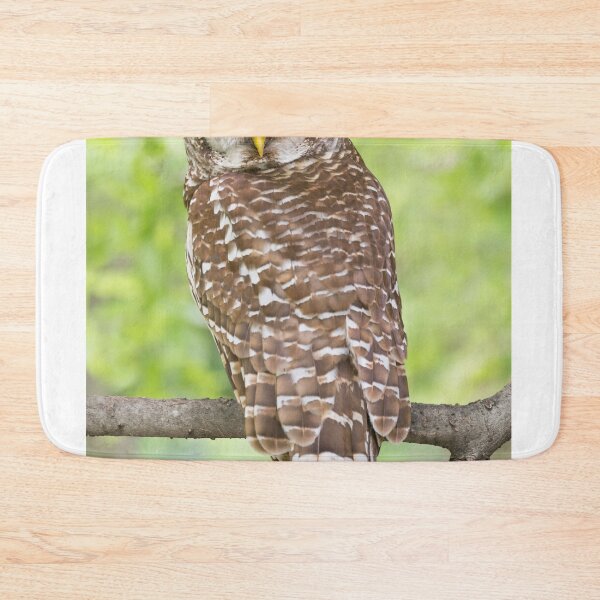 Item preview, Portrait of a Male Barred owl designed and sold by Puttaswamy Ravishankar.