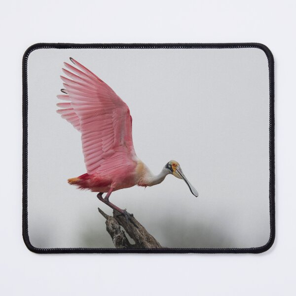 Item preview, Shades of Pink designed and sold by Puttaswamy Ravishankar.