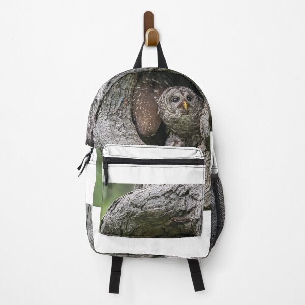 Item preview, Mama owl Getting Ready to Stash Food designed and sold by Puttaswamy Ravishankar.