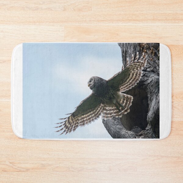 Item preview, Spreading My Wings designed and sold by Puttaswamy Ravishankar.